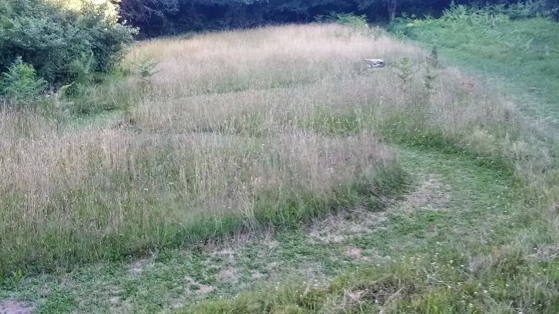Petit parcours nature - Gite Puy Bouraud à Vaulry en Haute-Vienne (Limousin en Nouvelle Aquitaine)_25
