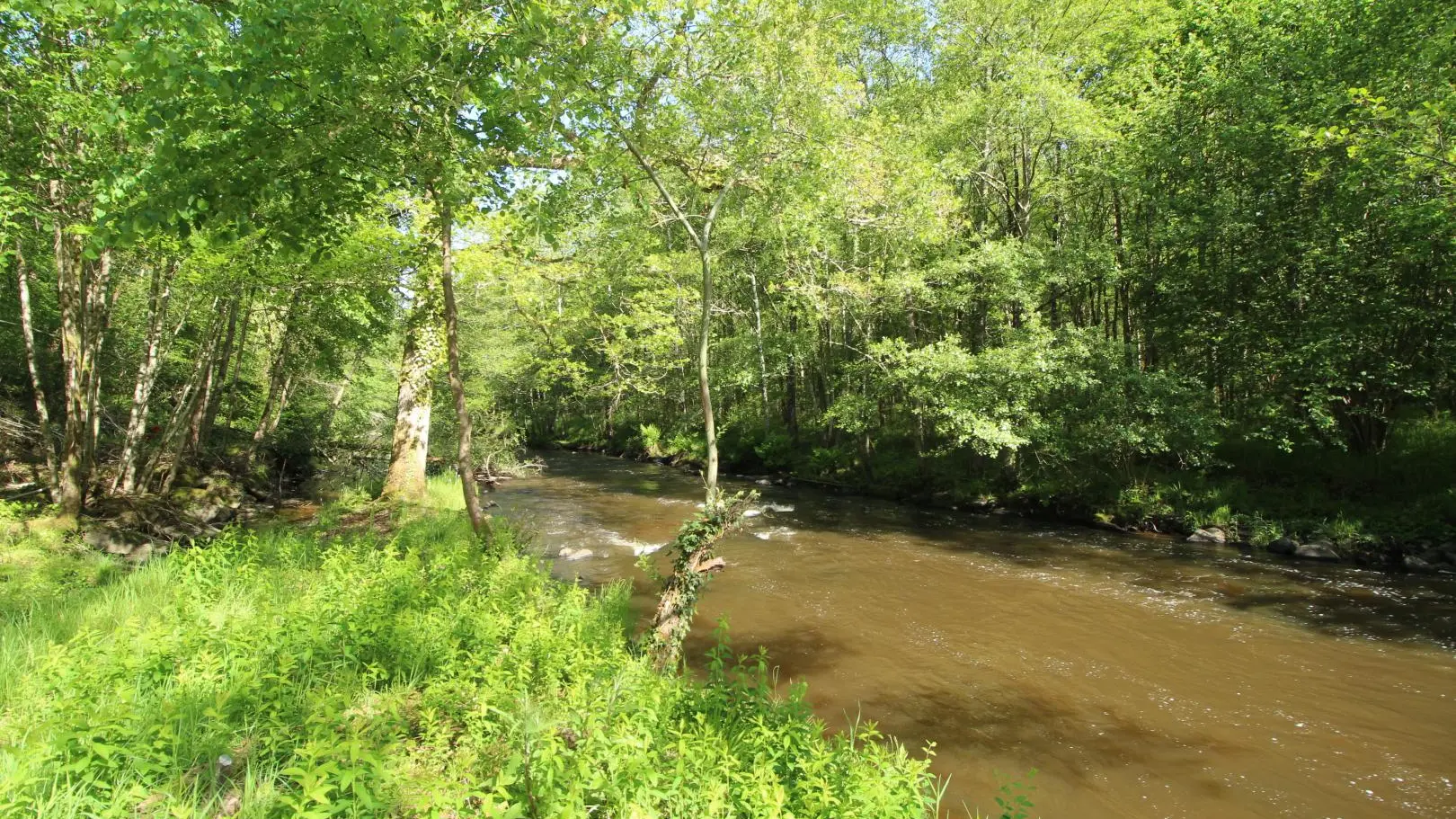 Gîte 3 ânes et un moulin à Bessines sur Gartempe en Haute-Vienne (Nouvelle Aquitaine)_35