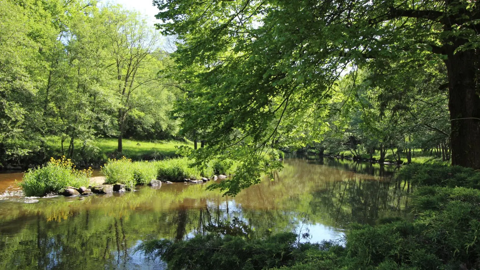 Gîte 3 ânes et un moulin à Bessines sur Gartempe en Haute-Vienne (Nouvelle Aquitaine)_7