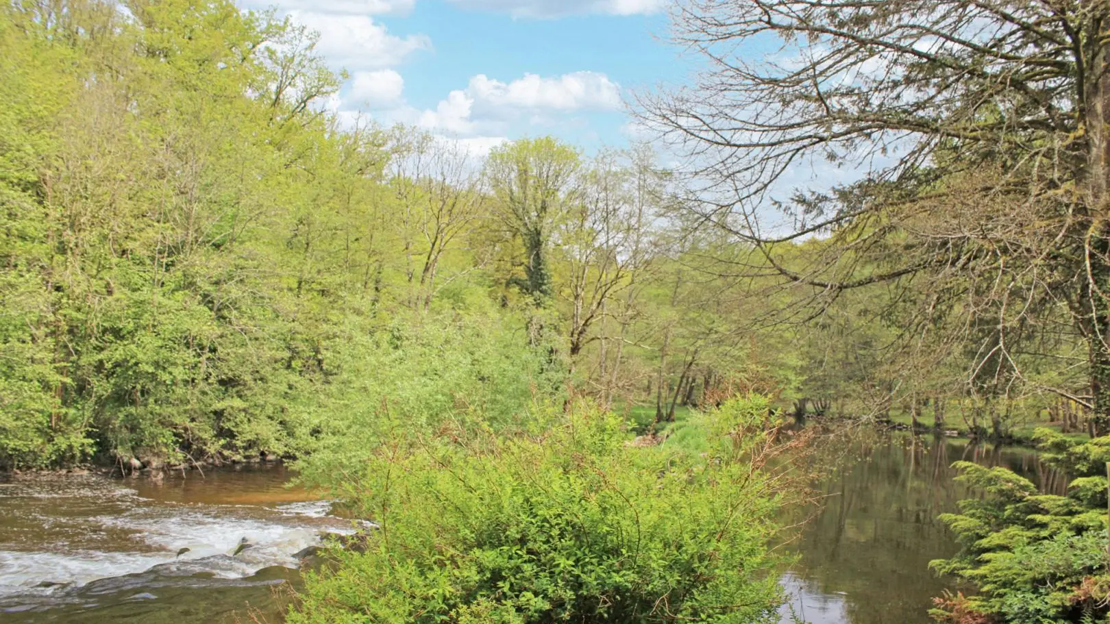 Gîte 3 ânes et un moulin à Bessines sur Gartempe en Haute-Vienne (Nouvelle Aquitaine) _53