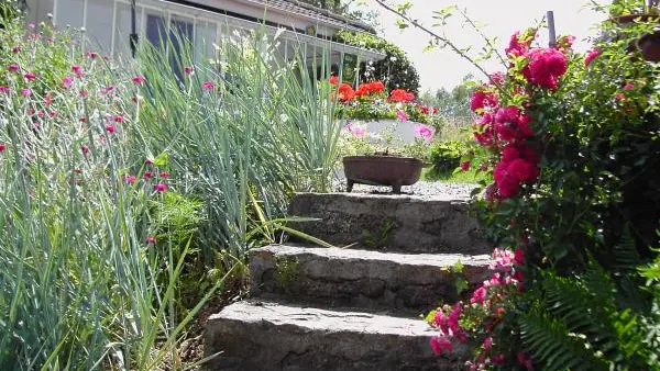 Gite Dominant l'Etang à Compreignac en Haute-Vienne (Limousin en Nouvelle Aquitaine)_19