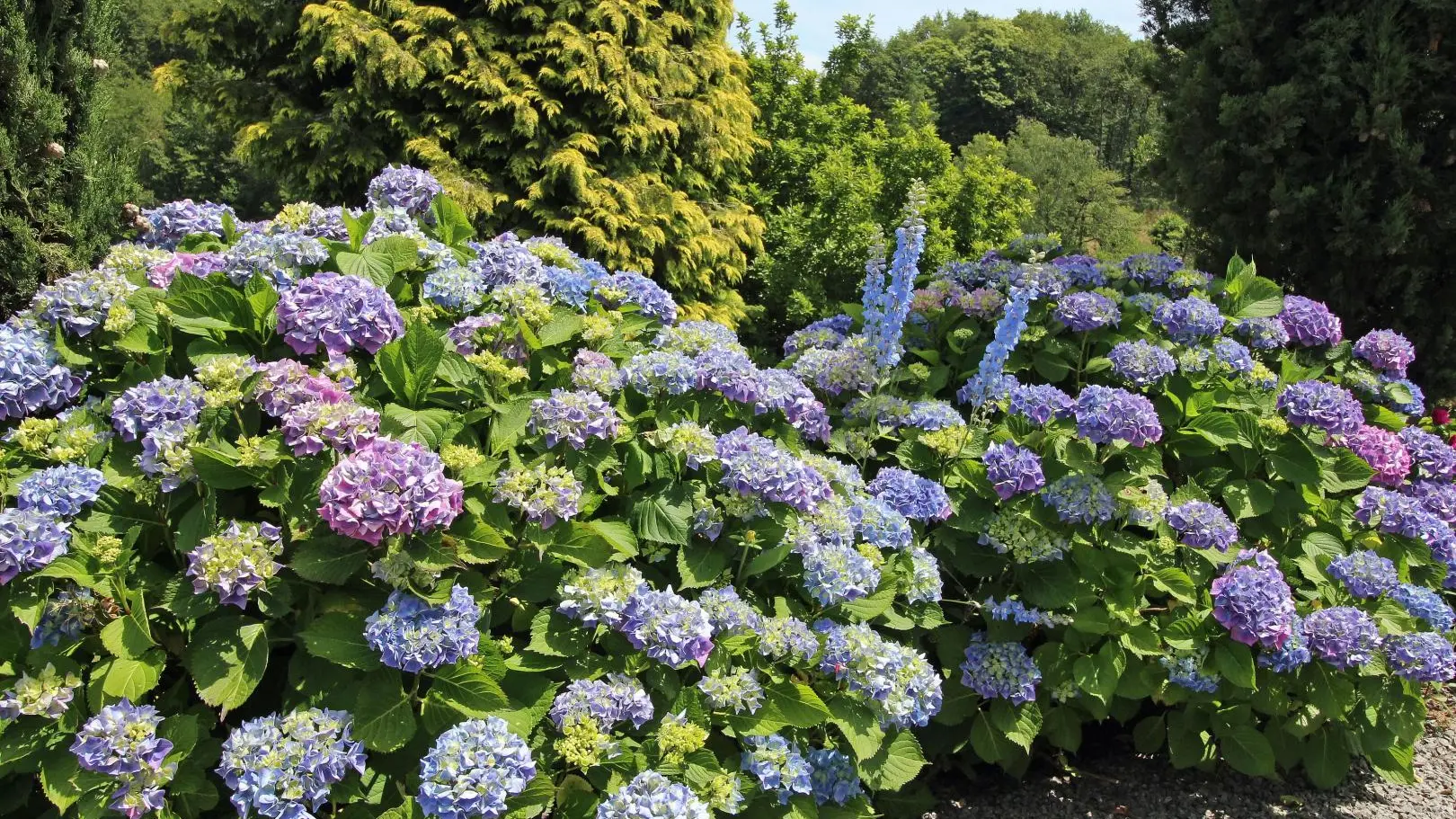 Gite Dominant l'Etang à Compreignac en Haute-Vienne (Limousin en Nouvelle Aquitaine)_21