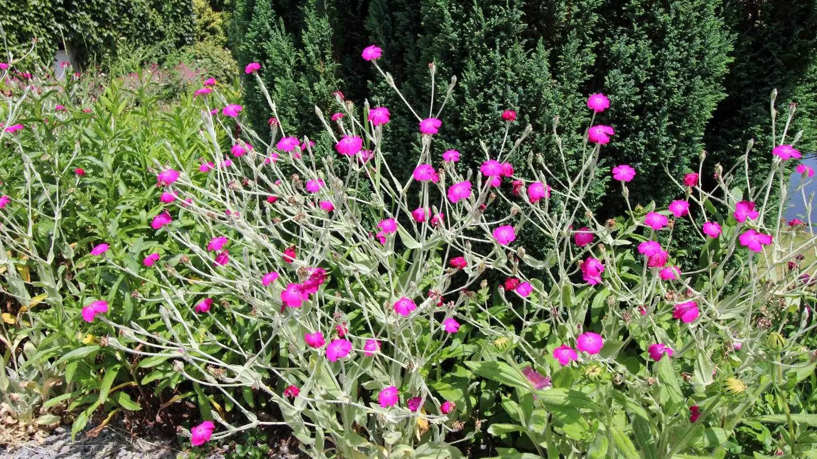 Gite Dominant l'Etang à Compreignac en Haute-Vienne (Limousin en Nouvelle Aquitaine)_22