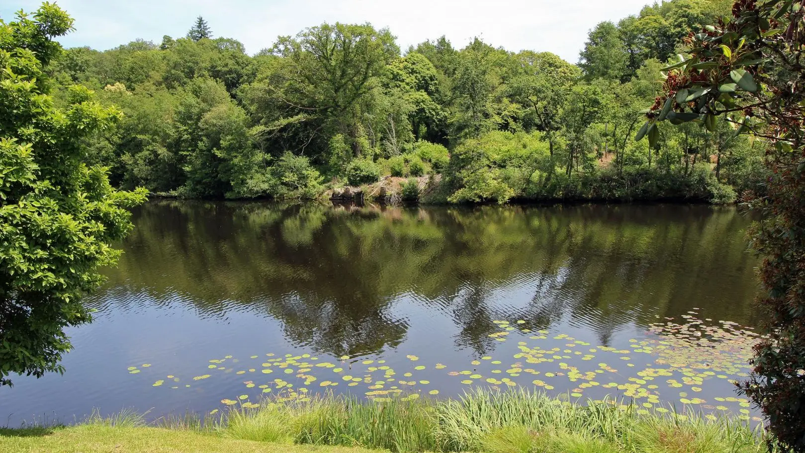 Gite Dominant l'Etang à Compreignac en Haute-Vienne (Limousin en Nouvelle Aquitaine)_17