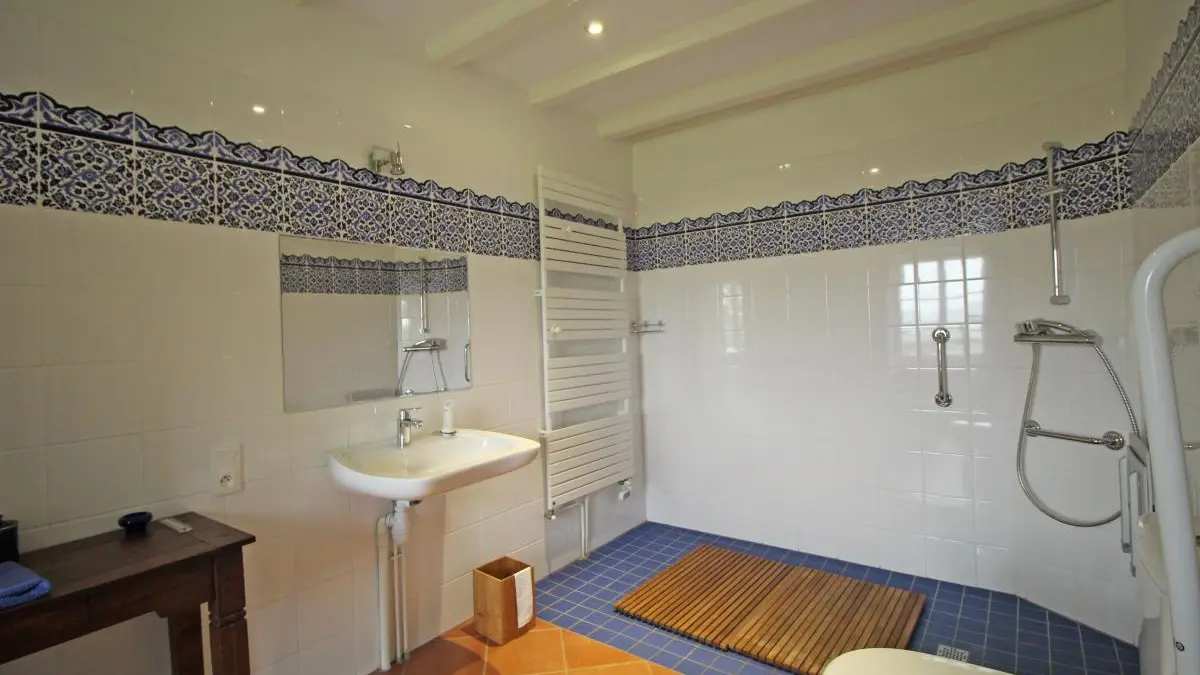 Gite Le Génie de la Forêt à Compreignac en Haute-Vienne (Limousin)- salle d'eau de la chambre 1_14