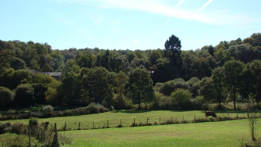 Gite Le bourg à Saint Pardoux en Haute-Vienne (Limousin en Nouvelle Aquitaine)_17