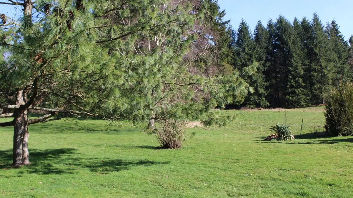 Gîtes Vauguenige_2