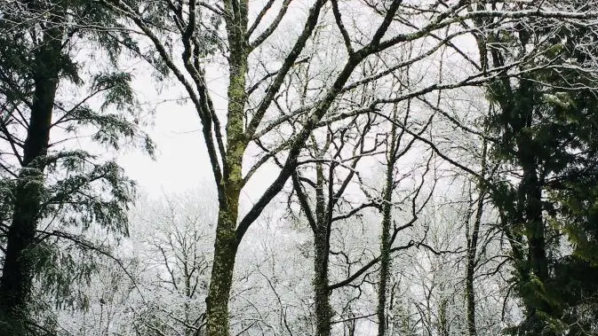 Gite Le Clos des Chênes à La Combe sur la commune de Thouron en Haute-Vienne (Nouvelle-Aquitaine)_26