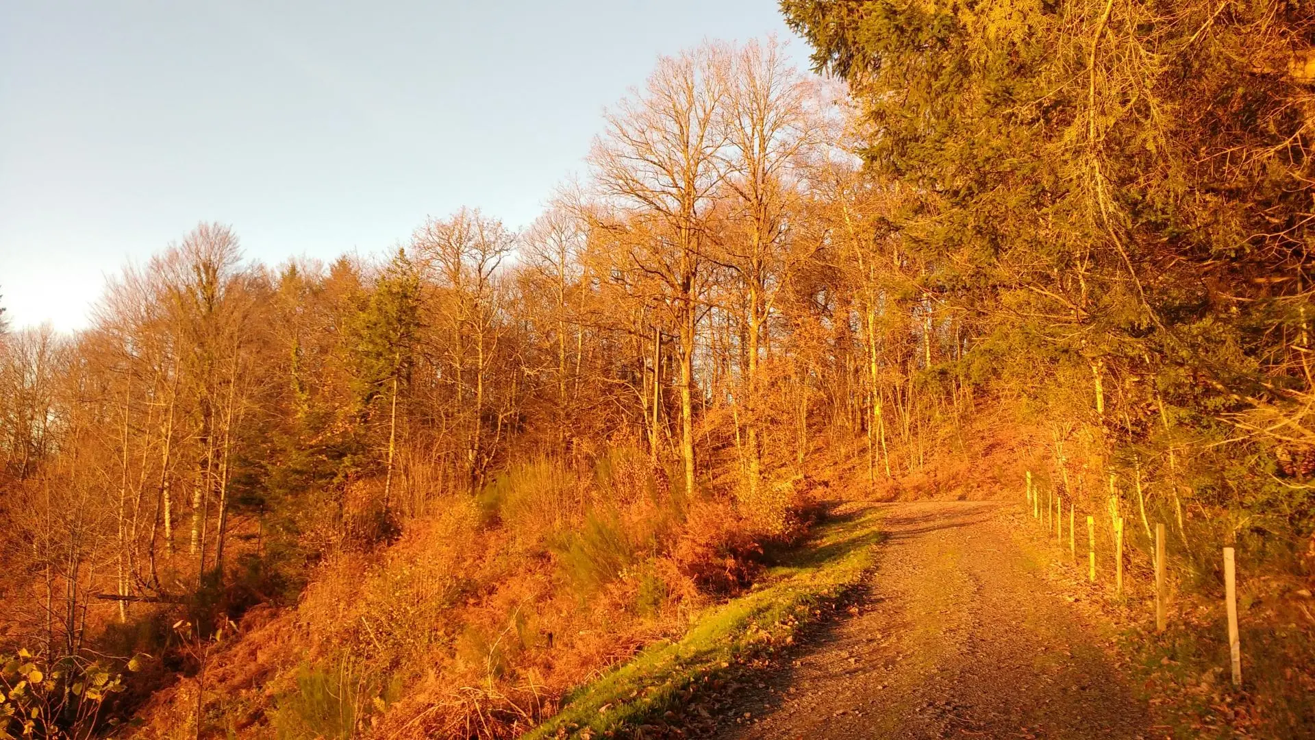 Gite Le Clos des Chênes à La Combe sur la commune de Thouron en Haute-Vienne_31