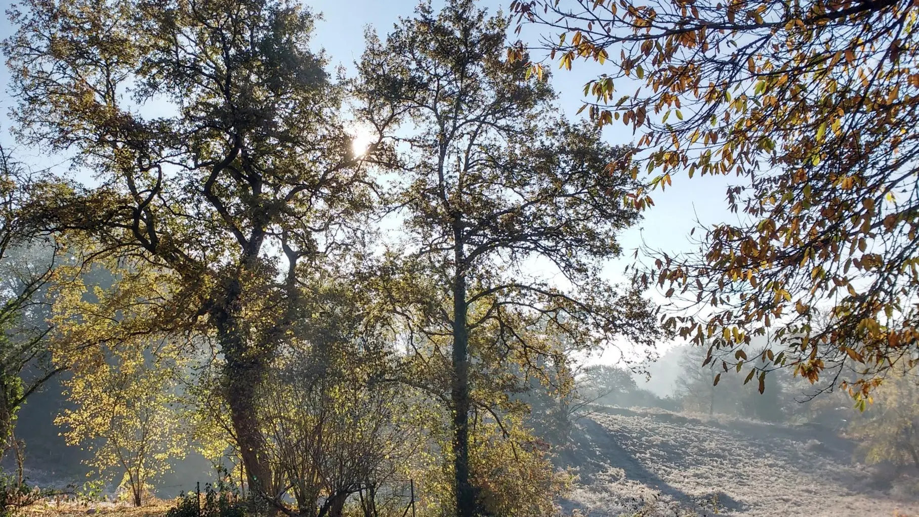 Gite Le Clos des Chênes à La Combe sur la commune de Thouron en Haute-Vienne (Nouvelle-Aquitaine)_25