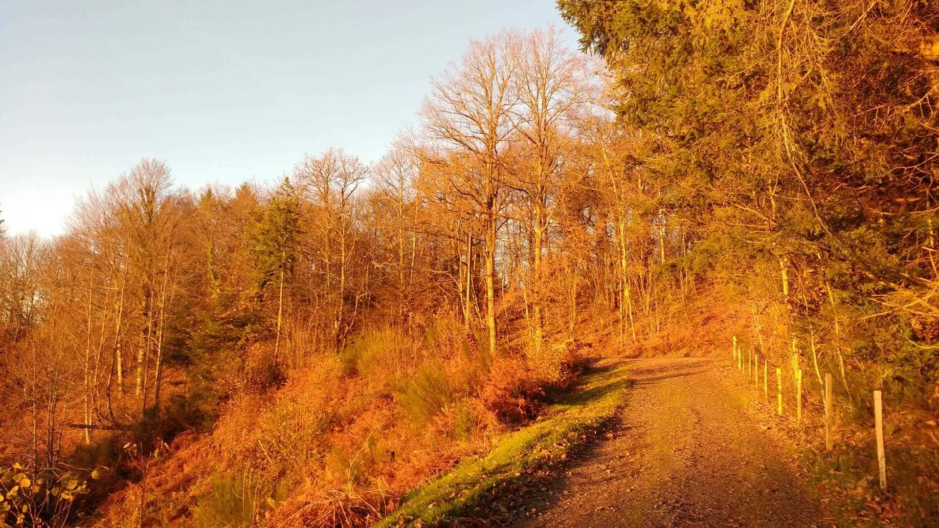 Gite Le Clos des Chênes à La Combe sur la commune de Thouron en Haute-Vienne (Nouvelle-Aquitaine)_24