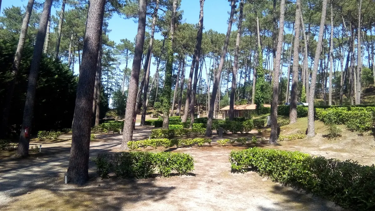 Campéole l'Etang Blanc 2016