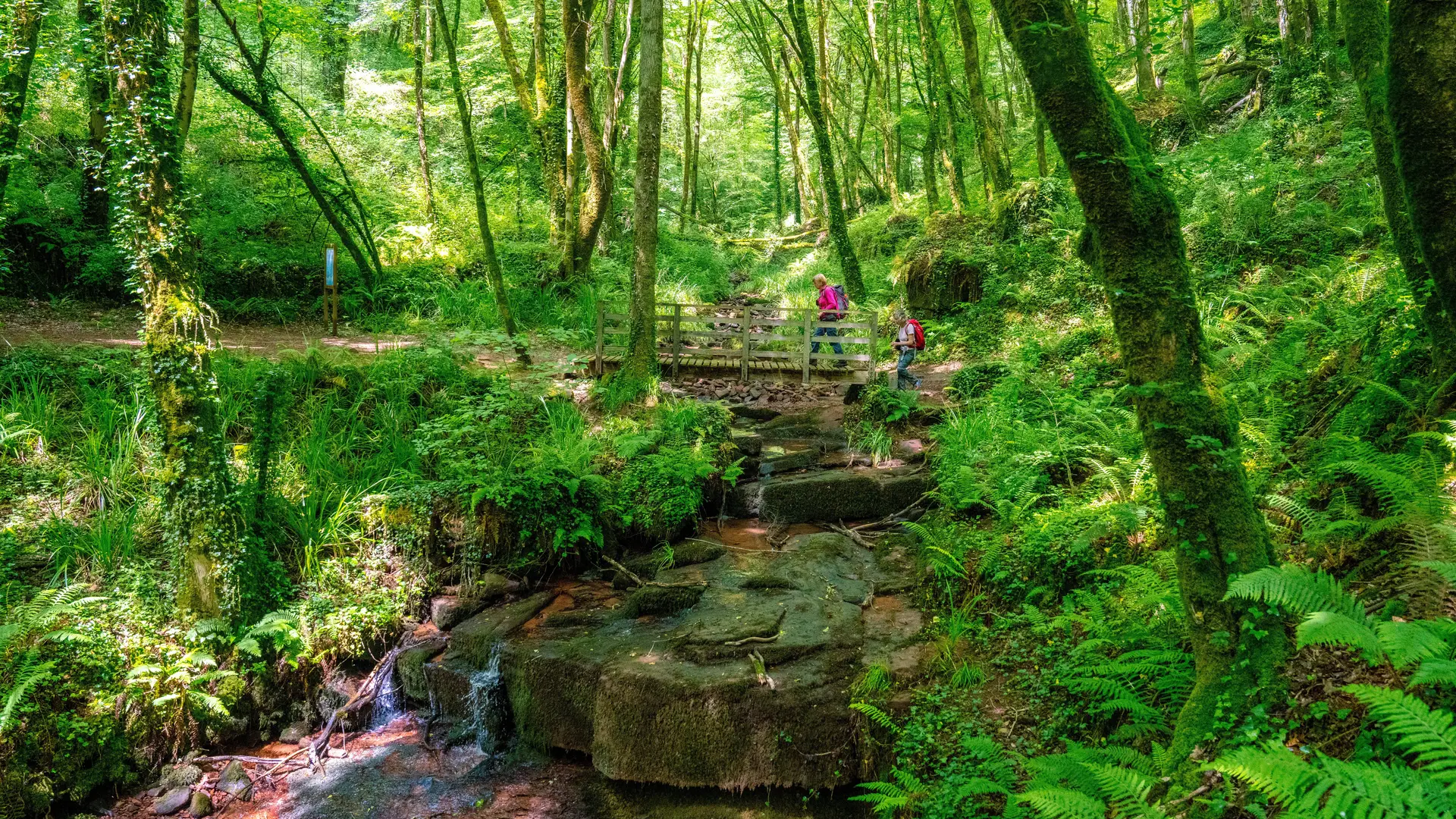 Vallée du ruisseau des Renardières