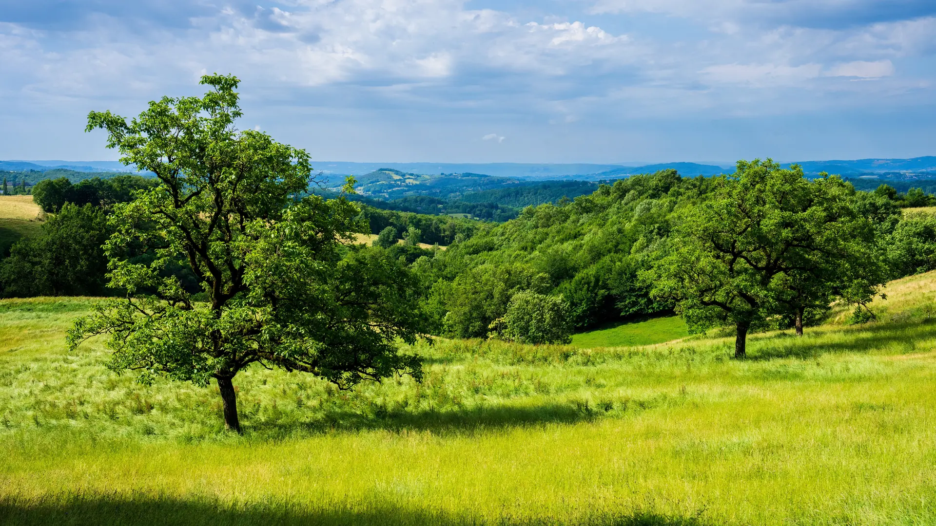 Bocage corrézien
