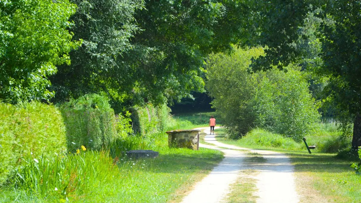 Aire de pique-nique - Flavignac