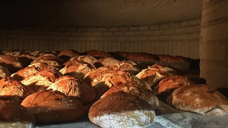 ©Ferme du Cheyron 2 - Chamberet