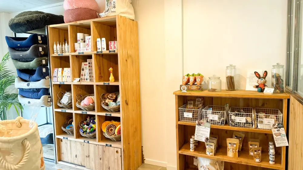 ©Instant Canin 2023 (3)