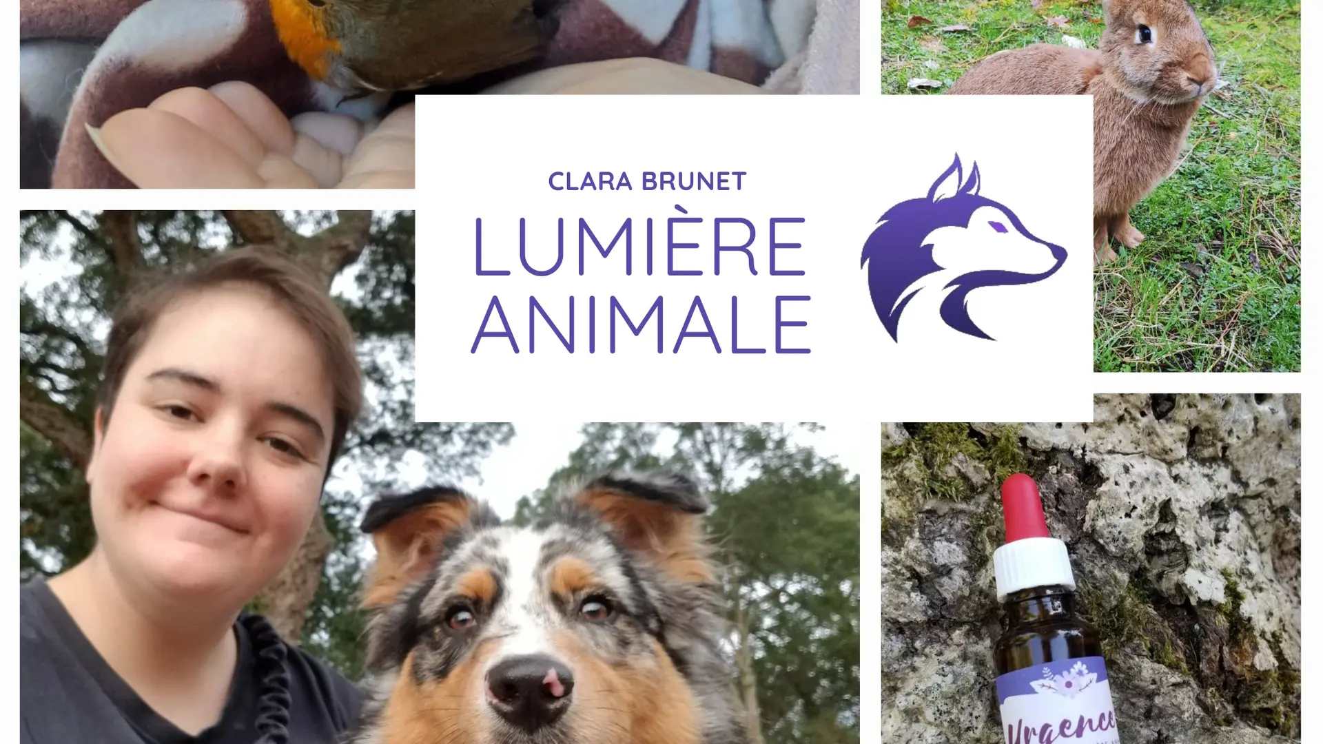 ©Lumière Animale 2023 (1)