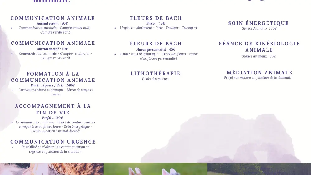 ©Lumière Animale (4)