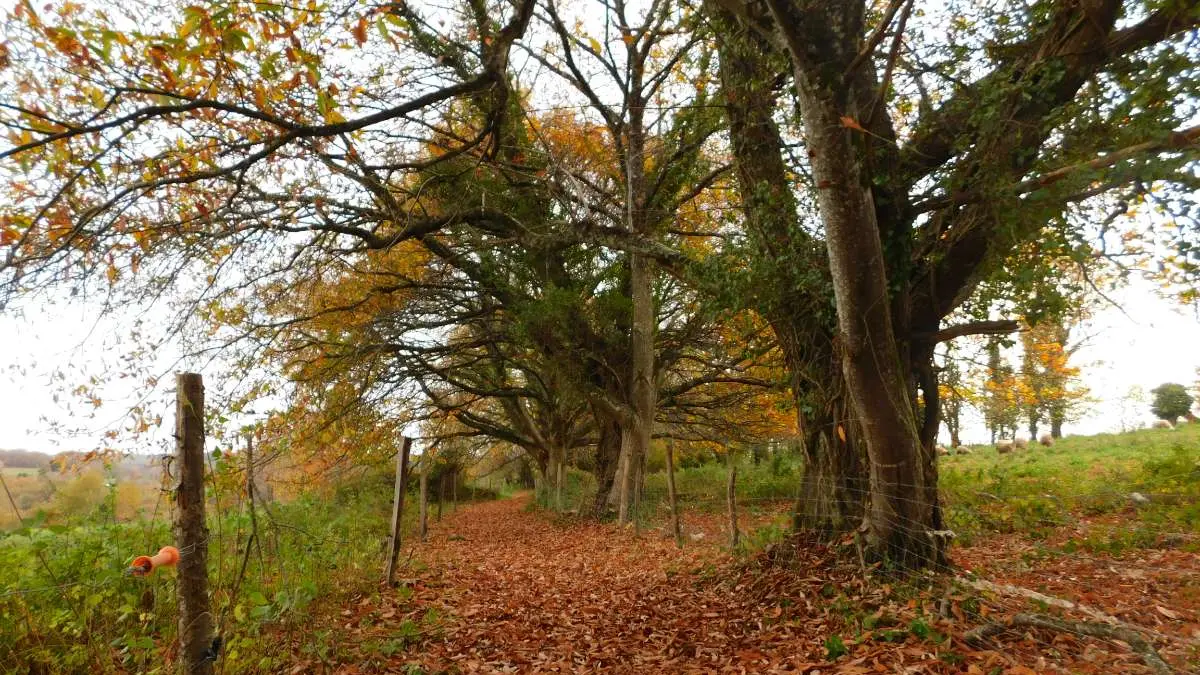 ©Manon Clavaud (11)