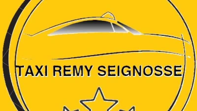 ©Taxi Rémy Seignosse 2023 (3)