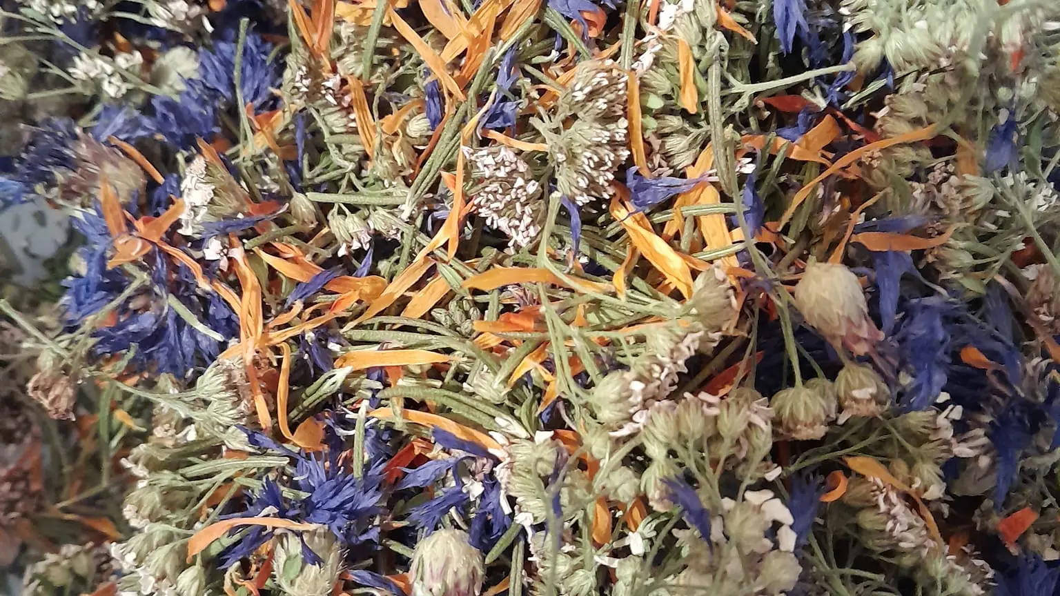 ©lejardindutempetier