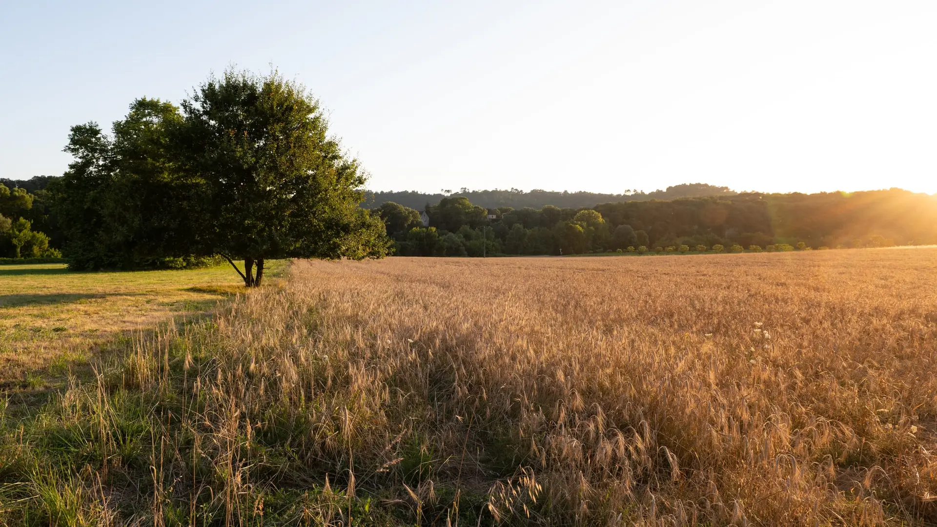 01-Ete-Tursac-InstapadesStudio-0339-2000px