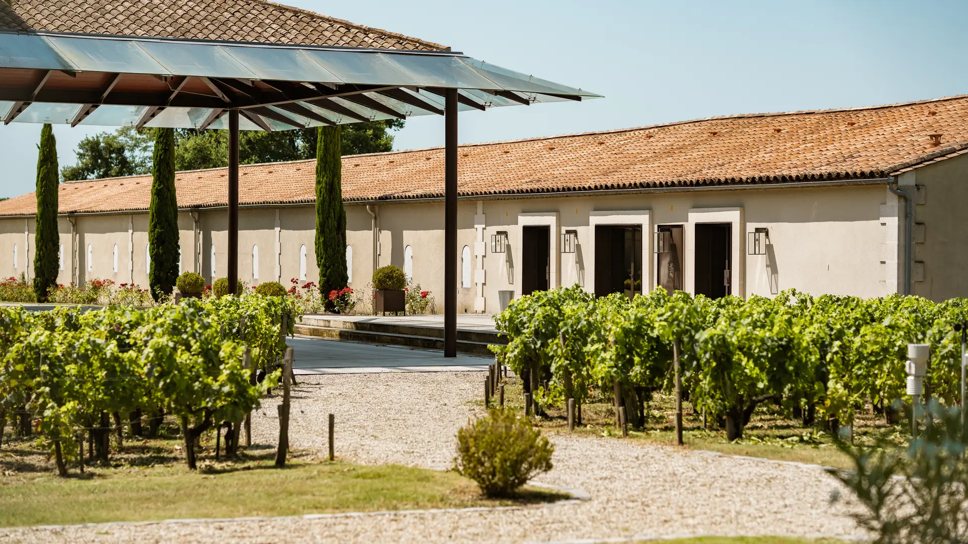 02-Marquis de Terme - salle du chai - vignes