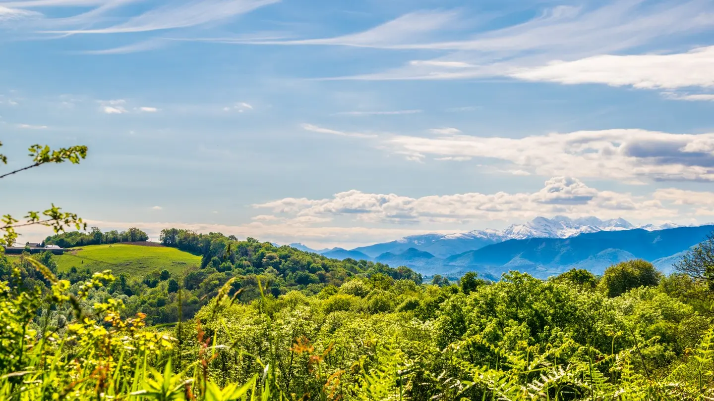 Pyrénées Bosdarros