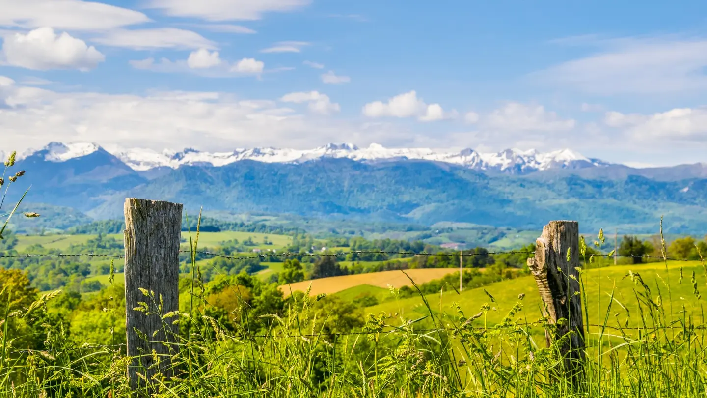 Pyrénées Bosdarros
