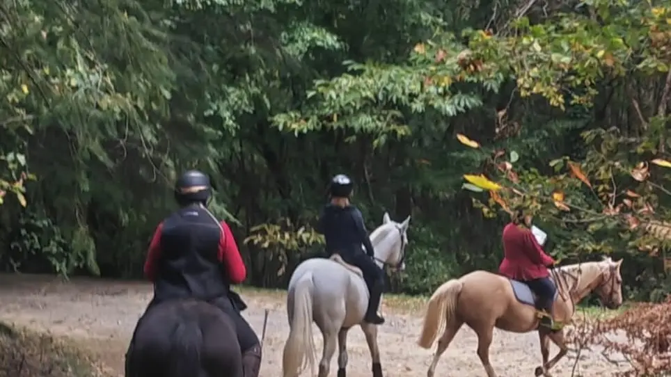 Amicale du Cheval Bandiati Tardoire