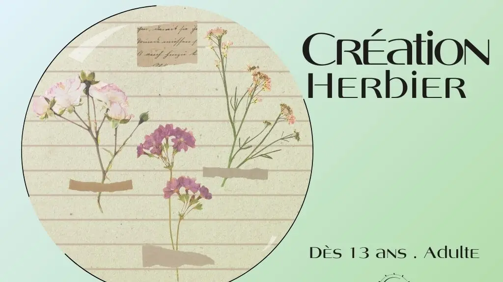 25-12-06 Création herbier - 1