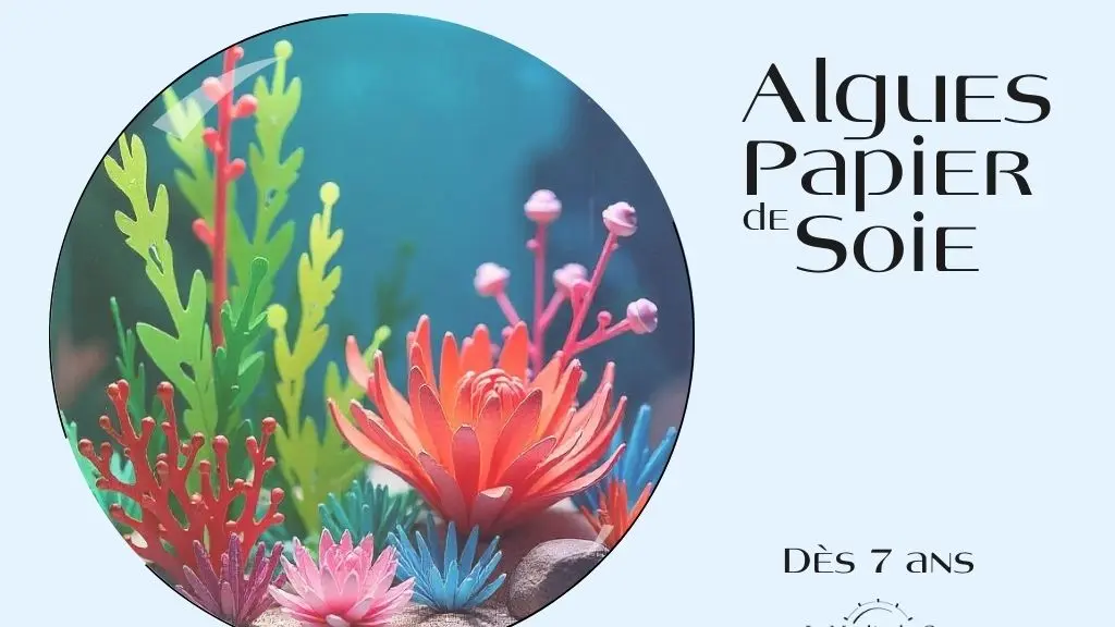 25-09-20 Algues en papier - 1