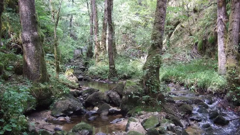 1-ruisseau-de-la-vigne_1_hYo4Ra3.JPG.800x800_q85_watermark-814ac0fe99753b19dbbb5b4f0bc49dfc