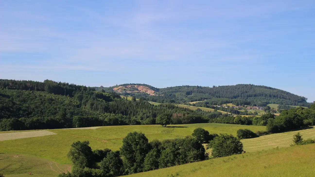 1. Panorama
