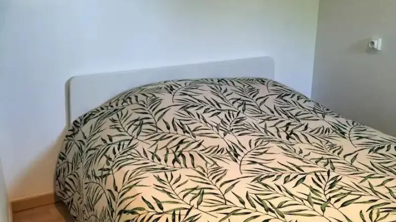 Maison au milieu des vignes
