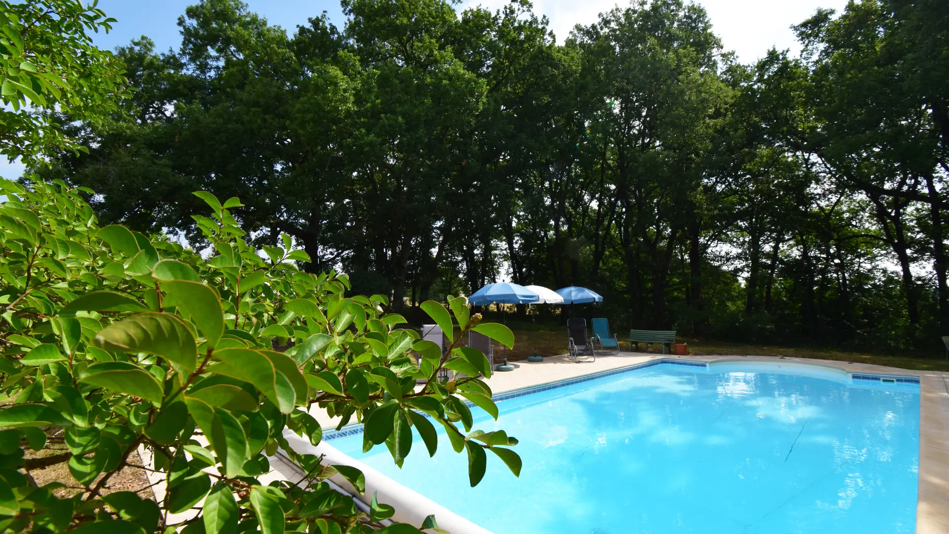 HLOAQU047FS000L5-2025-2