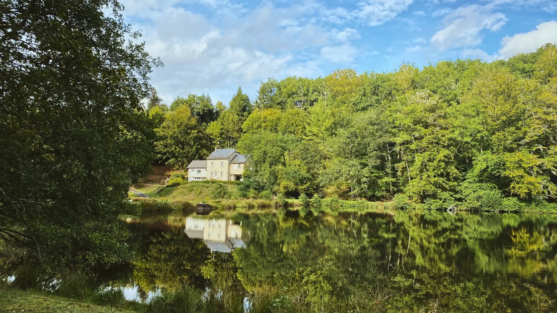 Photos Annonces Studio - Vue de l'étang (Pêche de Carpes)