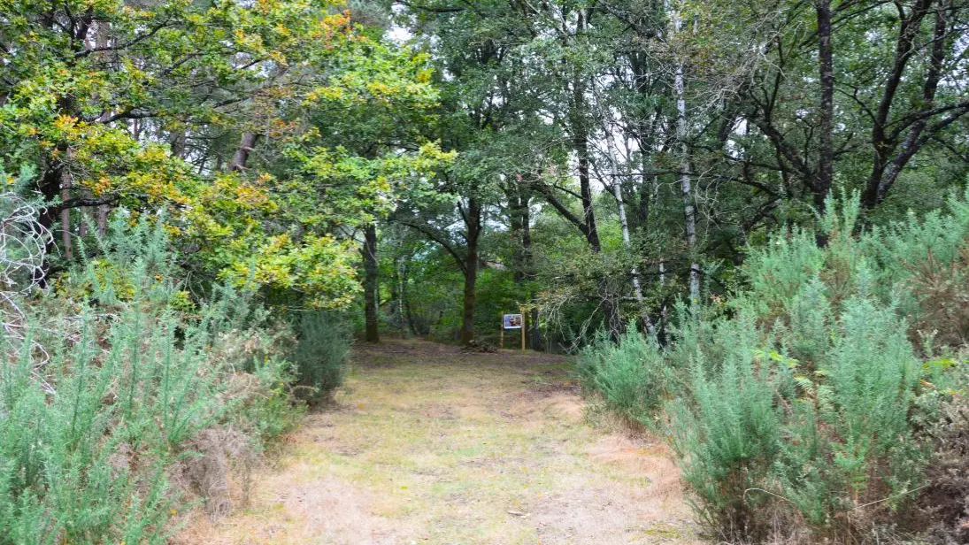 lande-a-serpentine-de-la-rouseille-saint-hilaire-les-places