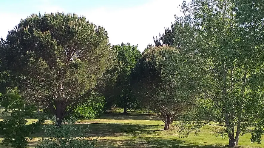11.Parc (Copier)