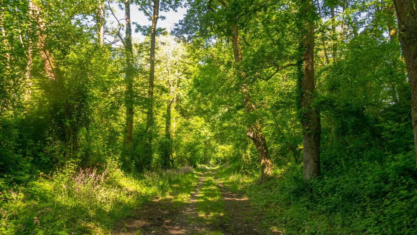 Poey de Lescar - malapet - chemin  Malapet