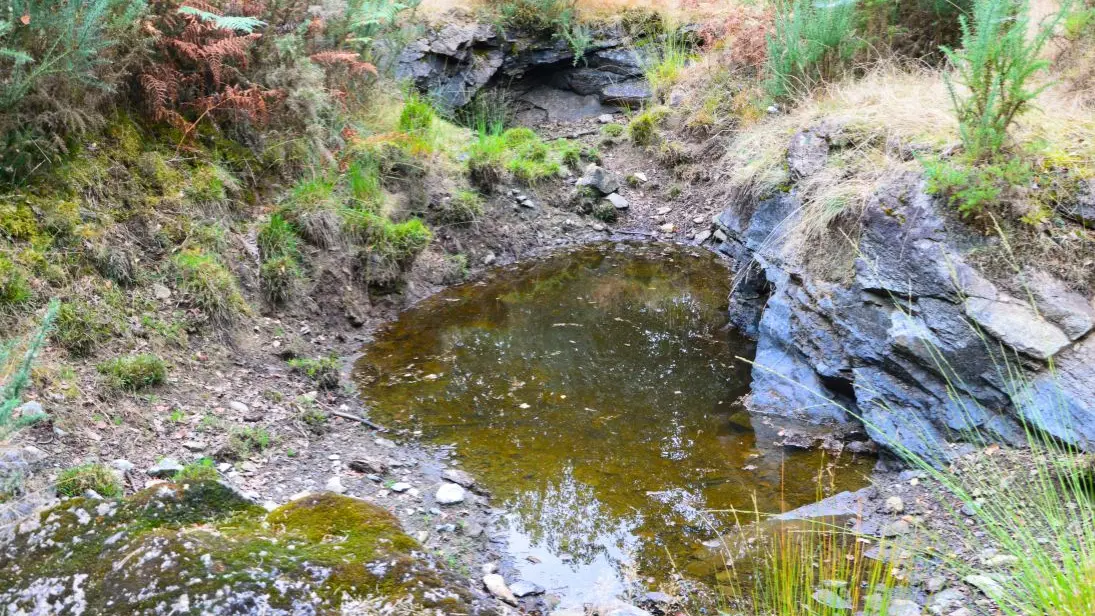 lande-a-serpentine-de-la-rouseille-saint-hilaire-les-places