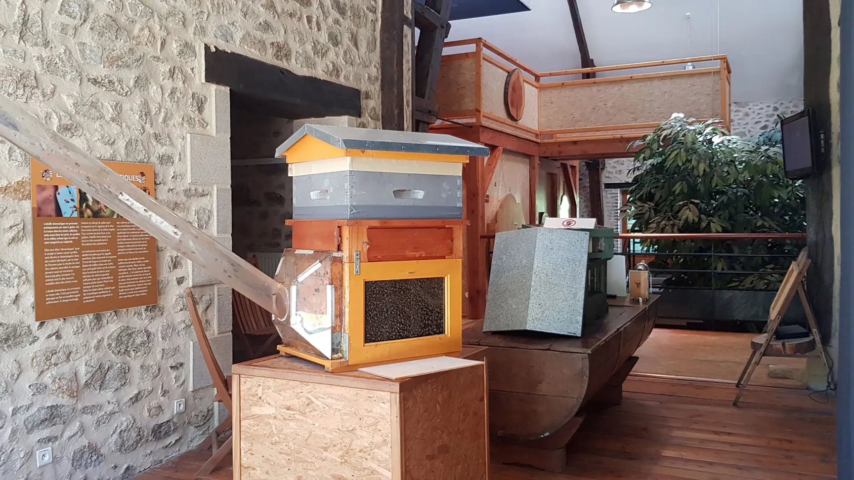 Maison de l'arbre et de la nature_7