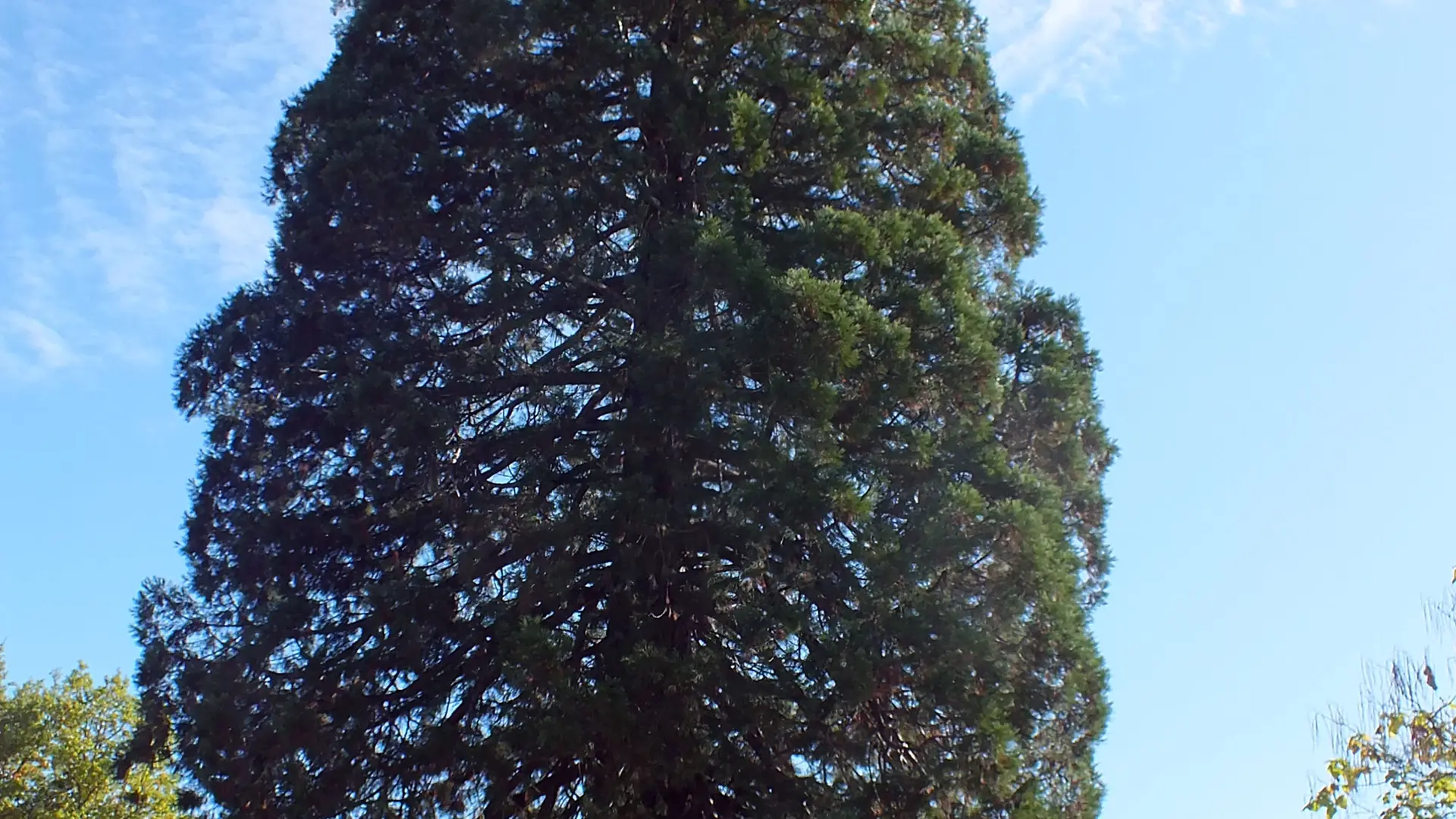 Maison de l'arbre et de la nature_8
