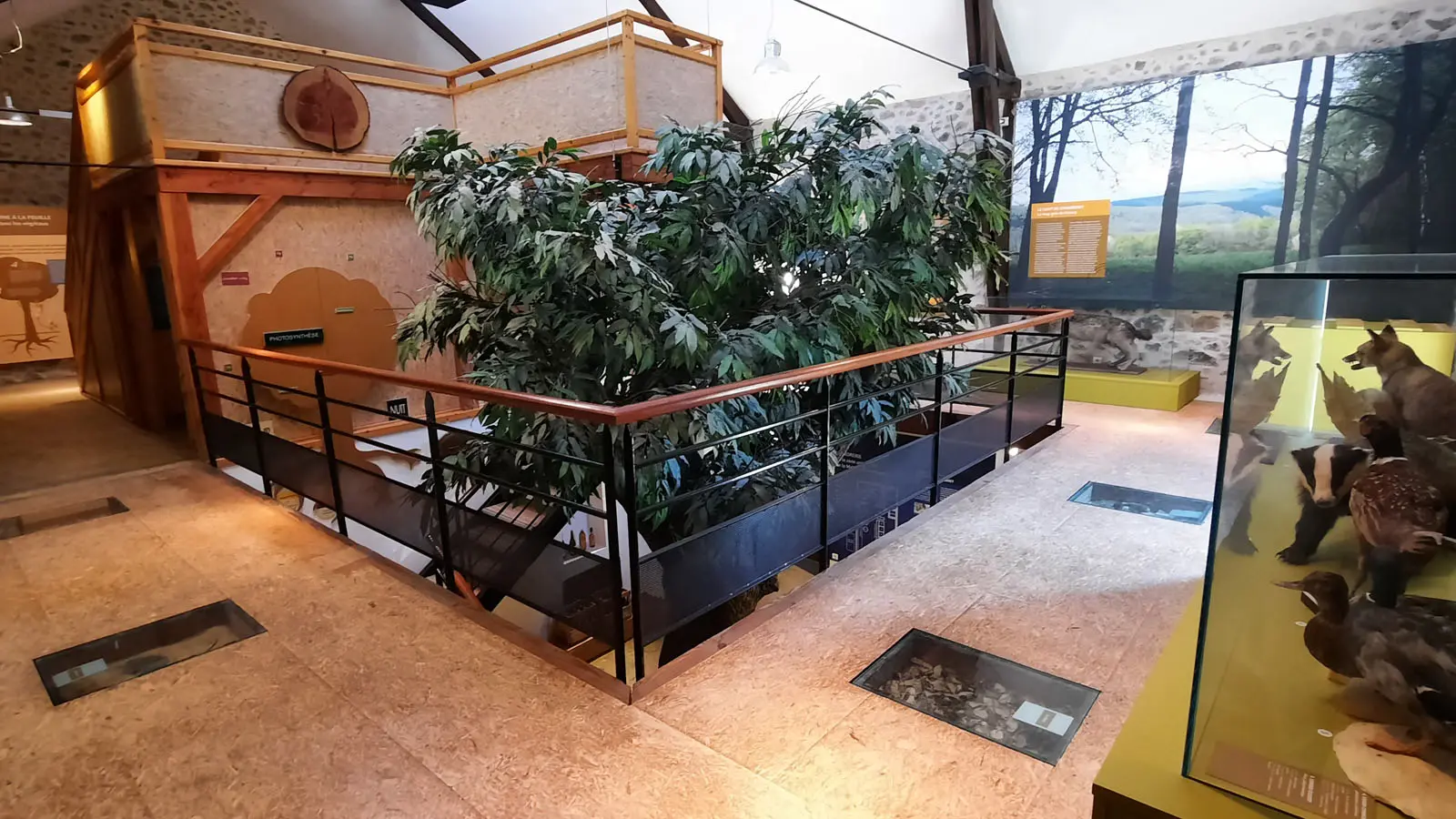 Maison de l'arbre et de la nature_2
