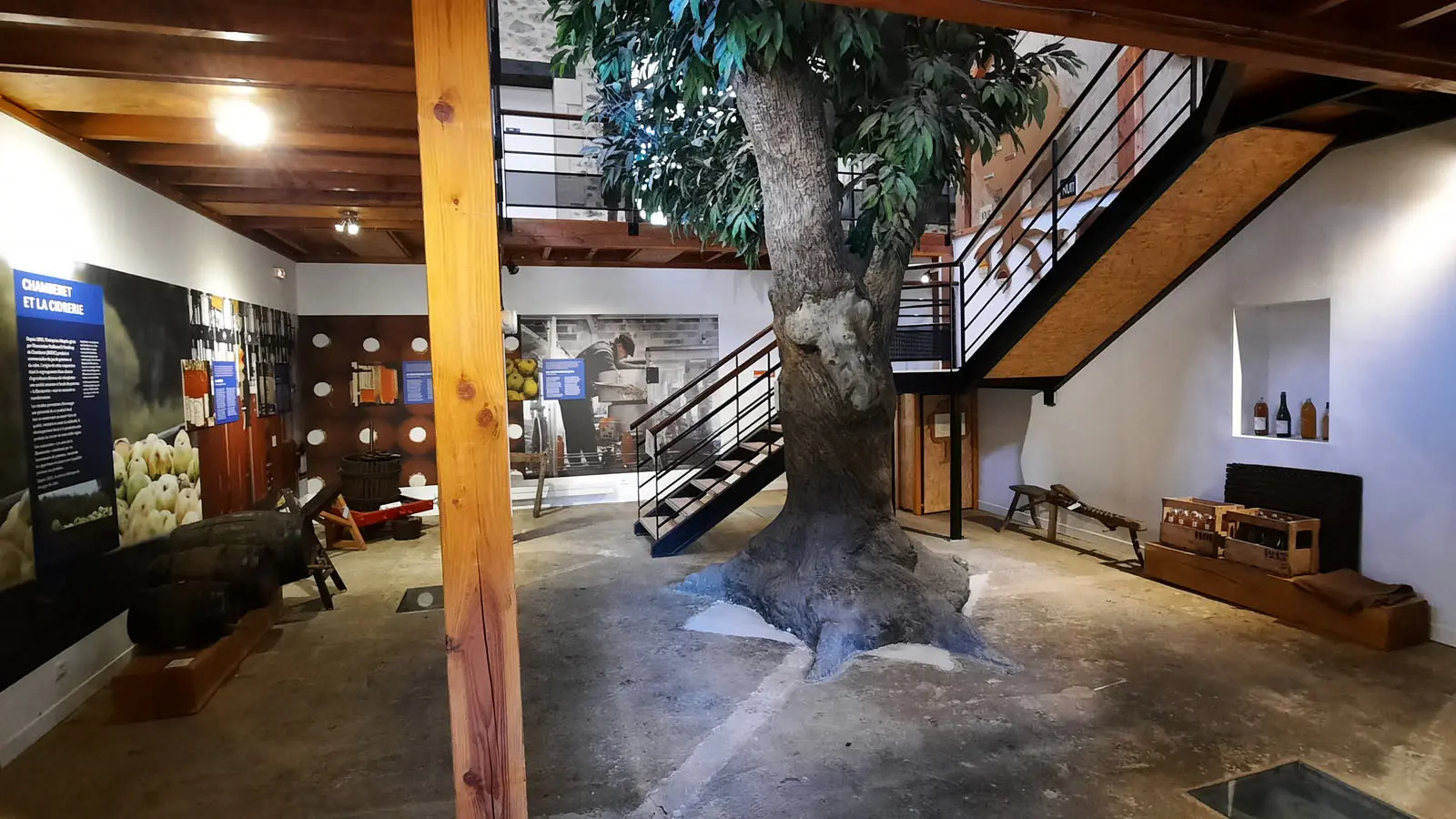 Maison de l'arbre et de la nature_5