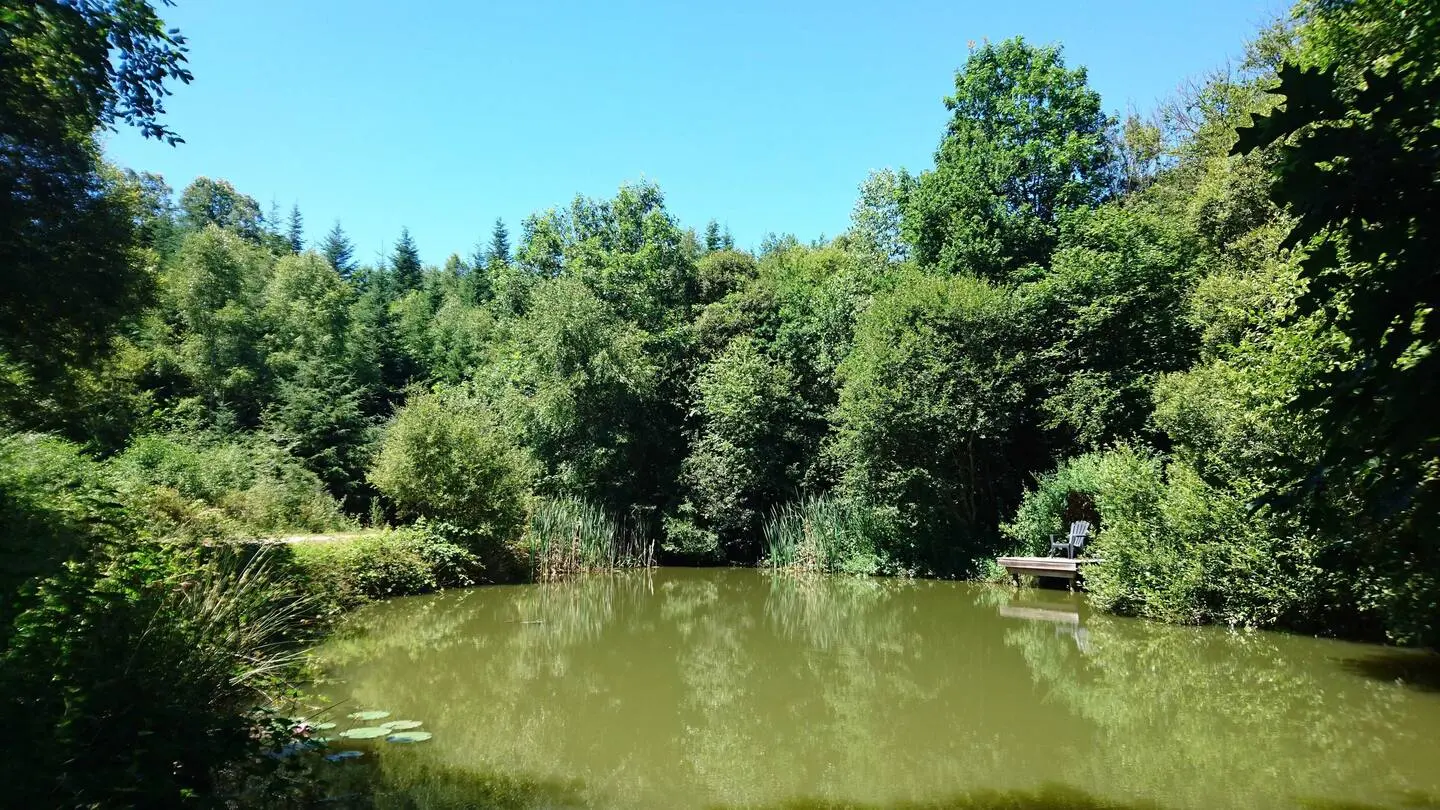 Etang