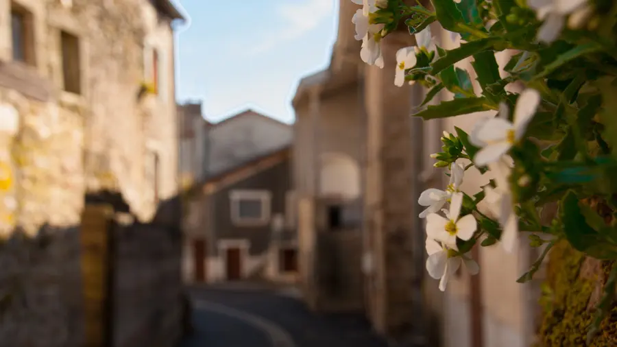 rue de la ville_1