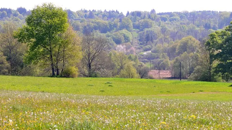 Circuit de César_2