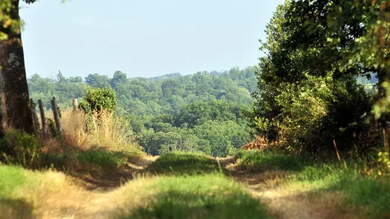 Sentier des templiers et des hospitaliers_5